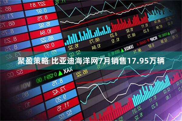 聚盈策略 比亚迪海洋网7月销售17.95万辆