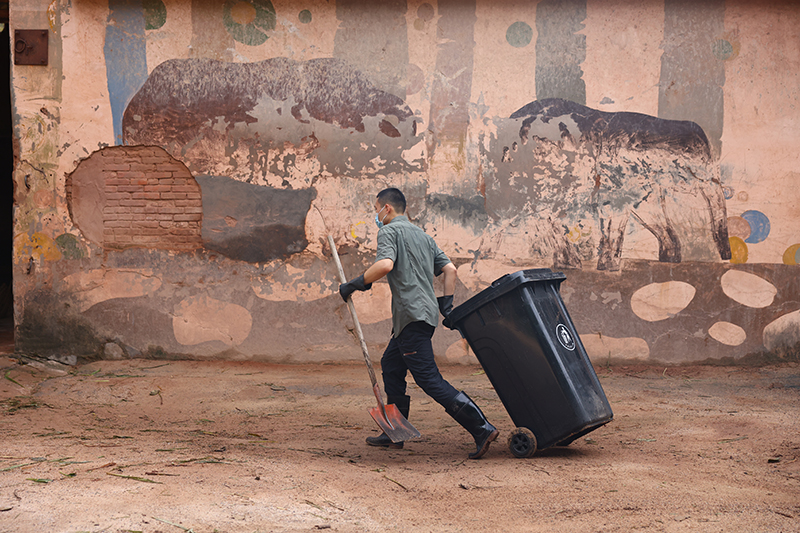 保育员清洁大象运动场