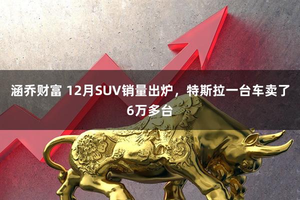 涵乔财富 12月SUV销量出炉，特斯拉一台车卖了6万多台